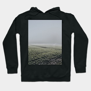 Photography by me Hoodie